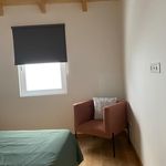 Rent 1 bedroom house of 50 m² in Abrantes