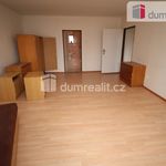 Rent 2 bedroom apartment of 65 m² in Marianske Lazne