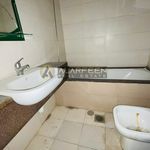 Rent 1 bedroom apartment of 428 m² in Al Barsha South 4