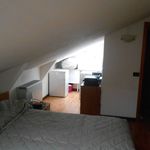 Rent 1 bedroom apartment of 35 m² in Pavia