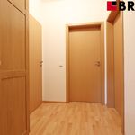 Rent 3 bedroom apartment of 78 m² in Brno