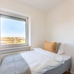 Rent a room of 178 m² in München