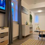 Rent 2 bedroom apartment of 45 m² in Friedrichsdorf