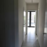 Rent 2 bedroom apartment of 86 m² in Deinze