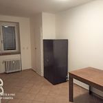 Rent 2 bedroom apartment of 55 m² in Prague