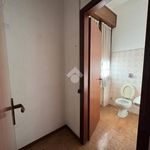 Affitto 1 camera appartamento di 60 m² in Mantova