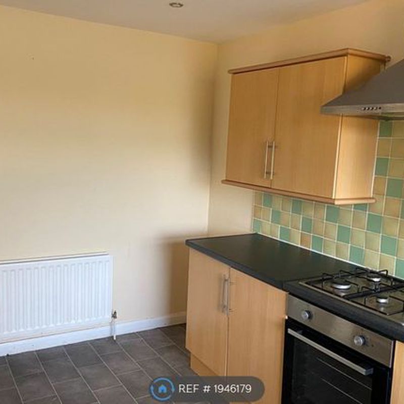Semi-detached house to rent in East Avenue, South Shields NE34 Horsley Hill