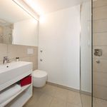 Rent 1 bedroom apartment of 20 m² in Ulm