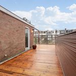 Rent a room of 150 m² in 's-Gravenhage