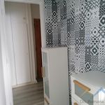 Rent 2 bedroom apartment of 50 m² in Břidličná