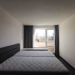 Pronajměte si 2 ložnic/e byt v Brno