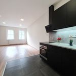 Rent 1 bedroom apartment of 59 m² in Hlucin