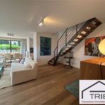 Rent 3 bedroom apartment of 135 m² in Etterbeek