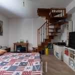 Rent 3 bedroom apartment of 80 m² in Milan