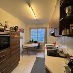Rent 3 bedroom apartment of 75 m² in Basel