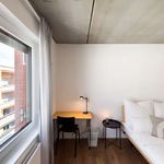 Rent a room of 76 m² in Frankfurt am Main