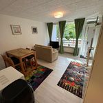Miete 3 Schlafzimmer wohnung von 40 m² in Sankt Augustin