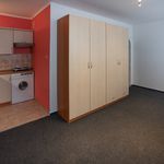 Rent 1 bedroom apartment of 24 m² in Chomutov