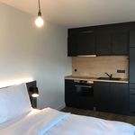 Rent 1 bedroom apartment of 24 m² in Wiesbaden