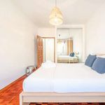 Rent 1 bedroom apartment in Merceana
