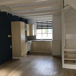 Rent 2 bedroom apartment of 54 m² in Schoonhoven
