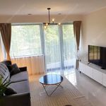 Rent 2 bedroom apartment of 47 m² in Budapest