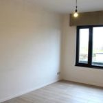 Rent 4 bedroom house in Hoogstraten