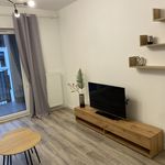 Rent 2 bedroom apartment of 40 m² in Łódź