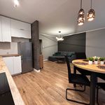 Rent 1 bedroom apartment of 37 m² in Toruń