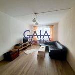 Rent 2 bedroom apartment of 61 m² in Lány