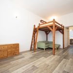 Rent 1 bedroom apartment of 39 m² in Usti Nad Labem