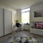 Rent 1 bedroom apartment of 27 m² in Raunheim