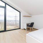 Rent 1 bedroom apartment of 624 m² in Praha