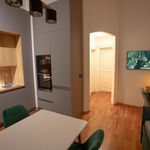 Rent 1 bedroom apartment of 40 m² in Prague
