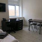 Rent 1 bedroom apartment of 25 m² in Brno