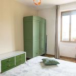 Rent a room of 60 m² in Roma