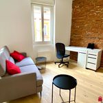 Rent 1 bedroom apartment of 28 m² in Toulouse
