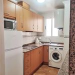 Rent 2 bedroom apartment in Torrevieja
