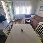 Najam 2 spavaće sobe stan od 53 m² u Primorsko-Goranska