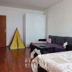 Rent 1 bedroom apartment of 64 m² in Adamov