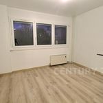 Rent 4 bedroom apartment of 80 m² in Folschviller