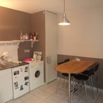 Rent 2 bedroom apartment of 52 m² in Lyon