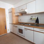 Rent 1 bedroom apartment of 43 m² in Lößnitz