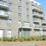 Appartement de 66 m² avec 2 chambre(s) en location à Wevelgem