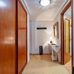 Rent 2 bedroom apartment in Elda