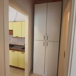 Affitto 1 camera appartamento di 42 m² in San Benedetto del Tronto