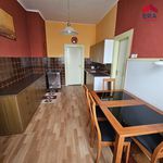 Rent 4 bedroom apartment of 152 m² in Plzeň