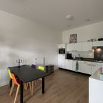 Rent 3 bedroom apartment of 85 m² in 7413XZ Deventer