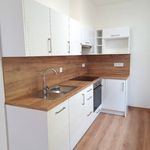 Rent 1 bedroom apartment of 38 m² in Plzeň