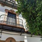 Rent 1 bedroom house of 40 m² in Sevilla